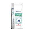 Royal Canin Junior Small Dog Digest & Dental Trockenfutter Hund- Für Hundewelpen kleiner Rassen 2kg