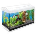 Tetra AquaArt Discovery Line Aquarium-Komplett-Set weiß (inklusive EasyCrystal FilterBox, ideal für die Haltung von Garnelen, Krebse oder tropischen Zierfische), 60 L, weiß