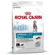 Royal Canin Hundefutter Urban Life Adult Large Dog 9 kg, 1er Pack (1 x 9 kg)