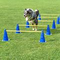 Unbekannt Kegel-Hürden 5er Set, blau/gelb, mit Tragetasche, für Agility - Hundetraining