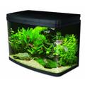 Interpet Insight Glas-Aquarium, komplettes Starter-Set Premium