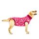 Recovery Suit Hund - XXXS - Camouflage Rosa