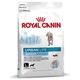 Royal Canin Hundefutter Urban Life Junior Large Dog 9 kg, 1er Pack (1 x 9 kg)