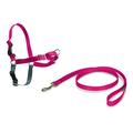 PetSafe Easy Walk Hundegeschirr XL pink, 1,8 m Leine, kein Ziehen, Tragekomfort, für sehr große Hunde