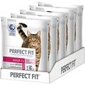 Perfect Fit Katzenfutter Trockenfutter Adult 1+ reich an Lachs, 5 Beutel (5 x 750 g)