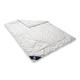 Badenia 03633030140 Bettcomfort Steppbett Irisette Kamel leicht, 135 x 200 cm, weiß