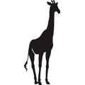 INDIGOS WG20040-22 Wandtattoo w040 Giraffe Afrika Tier Dschungel Wüste Wandaufkleber 96 x 41 gelb