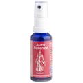 Berk SC-074 Holy Scents - Selbstverantwortung - Energiespray