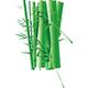 Indigos 4051719923186 Wandtattoo MD173 beeindruckender asiatischer Bambus 80 x 52 cm, bunt farbig