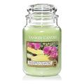 YANKEE CANDLE Pineapple Cilantro Kerze, Glass, ZIELONY, L