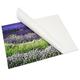 Deknudt Frames S43SDI Self-Adhesive Dkbond 3Mm -Aluminium/Polyethylene/Alu - 60.0X80.0 cm