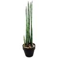 Euro Palms 82530580 Aloe Gigante, Eva, 80 cm, grün