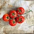 Pro-Art g1722k Wandbild Giclée 'Tomaten' 70 x 70 cm