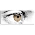 Dsign24 EG312500267 HD Echt-Glas Bild, Angel Eye, Wandbild Druck auf Glas, XXL, 125 x 50 cm, braun