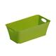 Rotho Aufbewahrungs-Box, Kunststoff, grün, 2 l