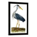 Gerahmtes Bild von Peter nach Paillou "The Heron plate from 'The British Zoology, Class II: Birds', engraved by Peter Mazell (fl.1761-97) 1766", Kunstdruck im hochwertigen handgefertigten Bilder-Rahmen, 50x70 cm, Schwarz matt