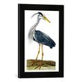 Gerahmtes Bild von Peter nach Paillou "The Heron plate from 'The British Zoology, Class II: Birds', engraved by Peter Mazell (fl.1761-97) 1766", Kunstdruck im hochwertigen handgefertigten Bilder-Rahmen, 30x40 cm, Schwarz matt