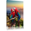 Pixxprint LFs7881_100x70 liebevolles Papageienpärchen auf Ast fertig gerahmt mit Keilrahmen Kunstdruck kein Poster oder Plakat auf Leinwand, 100 x 70 cm