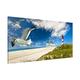 Apalis 108754 Magnettafel Dune Breeze Memoboard Design Quer Metall Magnet Pinnwand Motiv Wand Stahl Küche Büro, 37 x 78 cm