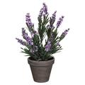 MICA Decorations 947672 Blumen, Lavender, violett