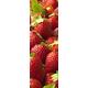 Plage 162261 Aufkleber für Küchen und Kühlschrank- Erdbeeren- Vinyl 180 x 0.1 x 59,5 cm, Bunt