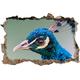 Pixxprint 3D_WD_S1948_92x62 blauer Pfau Wanddurchbruch 3D Wandtattoo, Vinyl, bunt, 92 x 62 x 0,02 cm