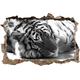 Pixxprint 3D_WD_5358_92x62 Verschlafener prächtiger Tiger Wanddurchbruch 3D Wandtattoo, Vinyl, Schwarz/weiß, 92 x 62 x 0,02 cm