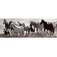 Artis 614055 Herd of Horses Wanddekoration Leinwand mehrfarbig 45 x 135 cm