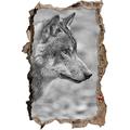 Pixxprint 3D_WD_S4949_62x42 grauer Wolf im Wald Wanddurchbruch 3D Wandtattoo, Vinyl, schwarz / weiß, 62 x 42 x 0,02 cm