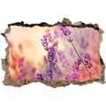 Pixxprint 3D_WD_S2073_62x42 wunderschöner Lavendel im Sonnenschein Wanddurchbruch 3D Wandtattoo, Vinyl, bunt, 62 x 42 x 0,02 cm