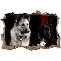 Pixxprint 3D_WD_S1559_92x62 Zwei Hunde auf Dem Teppich Wanddurchbruch 3D Wandtattoo, Vinyl, Bunt, 92 x 62 x 0,02 cm