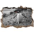 Pixxprint 3D_WD_5002_92x62 süßer Pinguin am Steinstrand Wanddurchbruch 3D Wandtattoo, Vinyl, schwarz/weiß, 92 x 62 x 0,02 cm