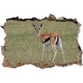 Pixxprint 3D_WD_S1148_92x62 junge Gazelle auf Wiese Wanddurchbruch 3D Wandtattoo, Vinyl, bunt, 92 x 62 x 0,02 cm