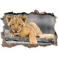 Pixxprint 3D_WD_S4850_92x62 spielendes Löwenjunges auf Holz Wanddurchbruch 3D Wandtattoo, Vinyl, schwarz/weiß, 92 x 62 x 0,02 cm