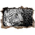 Pixxprint 3D_WD_1141_62x42 Weißer edler Leopard Wanddurchbruch 3D Wandtattoo, Vinyl, bunt, 62 x 42 x 0,02 cm
