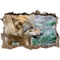 Pixxprint 3D_WD_S1907_92x62 gefährlicher Wolf Wanddurchbruch 3D Wandtattoo, Vinyl, bunt, 92 x 62 x 0,02 cm