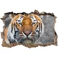 Pixxprint 3D_WD_S4796_62x42 prächtiger Tiger Wanddurchbruch 3D Wandtattoo, Vinyl, schwarz / weiß, 62 x 42 x 0,02 cm