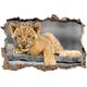 Pixxprint 3D_WD_S4850_62x42 spielendes Löwenjunges auf Holz Wanddurchbruch 3D Wandtattoo, Vinyl, schwarz / weiß, 62 x 42 x 0,02 cm