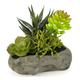 Flair Flower Succulenten auf Stein, Plastik, grün, 12 x 13 x 10 cm
