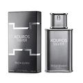 Yves Saint Laurent Kouros Silver Eau de Toilette Spray, 1er Pack (1 x 100 ml)