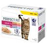 Perfect Fit Adult 1+ selezione mista - 24 x 85 g