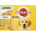 Pedigree Vital Protection Welpenfutter Hundefutter mit 4 Sorten Fleisch in Gelee, 48 Beutel (48 x 100 g)