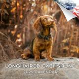 2023 2024 Longhaired Dachshund Calendar - Dog Breed Monthly Wall Calendar - 12 x 24 Open - Thick No-Bleed Paper - Giftable - Academic Teacher s Planner Calendar Organizing & Planning - Made in USA