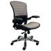 350 Lbs. Capacity ErgoFlex Ergonomic All-Mesh Office Chair