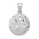 14ct White Gold Solid Satin Textured back Sanddollar Charm Pendant Necklace Measures 23.6x15.5mm Jewelry Gifts for Women