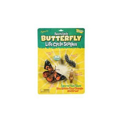 Insect Lore Butterfly Lifecycle Stages Figure