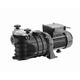 Hexoutils HP21321 Pompe de filtration piscine, 600 W, Variable