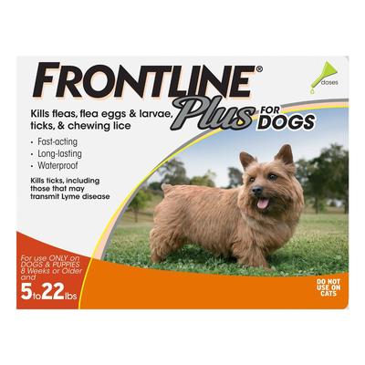 Frontline Plus For Small Dogs Up To 22lbs (Orange) 6 Months