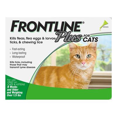 Frontline Plus For Cats 6 Months