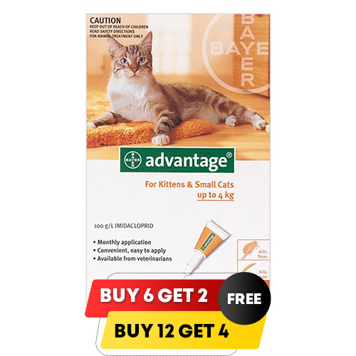 Advantage Kittens & Small Cats 1-9lbs 6 + 2 Free
